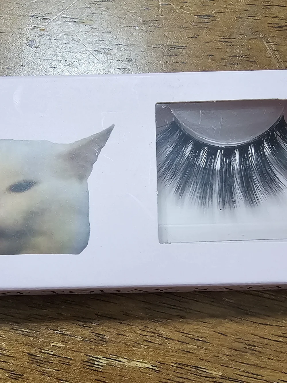 Lashes & Glue Bundle